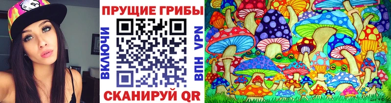 Купить Димитровград Галлюциногенные грибы Psilocybine cubensis